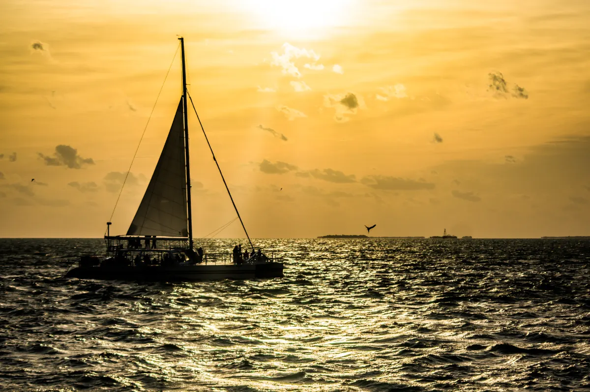 Sailing catamaran carrying guests, silhouetted against a golden sunset off Key West